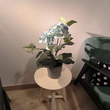 Apartamento Zabala Conoce Bilbao Desde Dentro Exterior photo